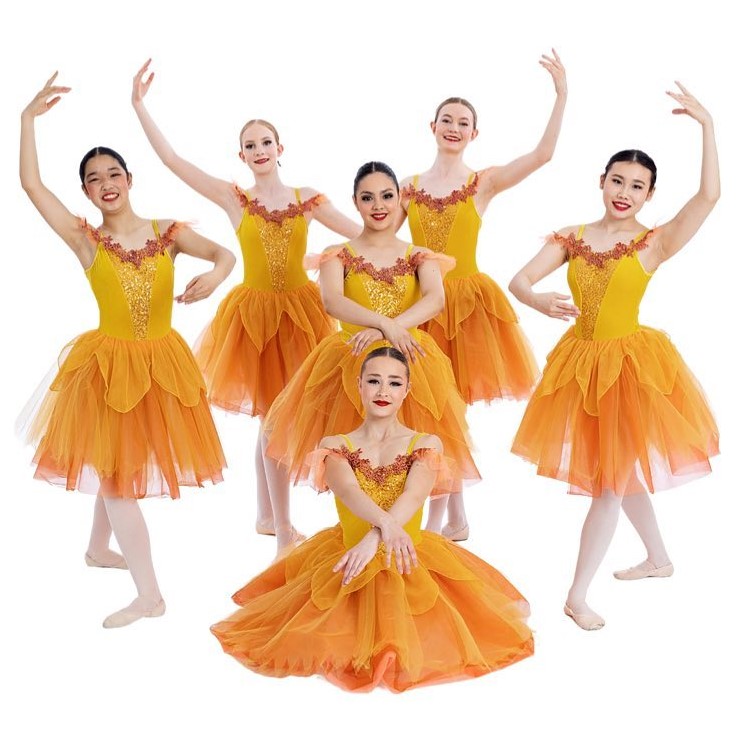 The image contains a group of women in dresses. It is related to dance and choreography, specifically ballet, as the women are ballet dancers from the Driftwood Dance Academy group. The dresses they are wearing are likely ballet costumes.