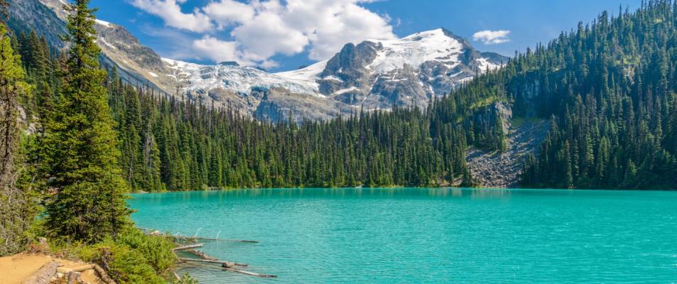 The image is of Joffrey Lake, a glacial lake surrounded by trees and mountains in a wilderness setting. The landscape includes a mountain range, a cloudy sky, and a serene body of water.