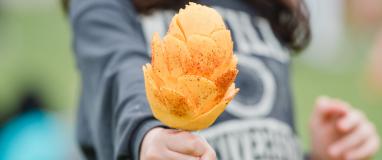Person holding a fresh mango from Mexico, peeled and ready to eat on a stick with tajin.