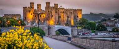 The image is of Conwy Castle in Wales, UK. It features a castle with a bridge, surrounded by flowers. The scene includes clouds, sky, trees, and stone structures in a city landscape.
